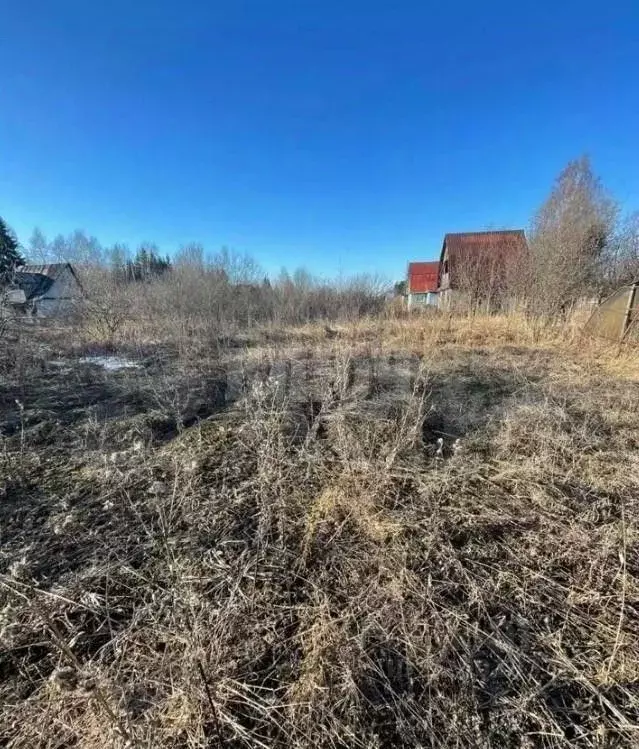 Дом в Вологодская область, Сокол Печаткино мкр,  (20 м) - Фото 1