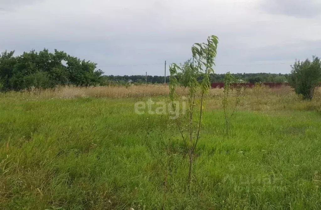 Купить Участок В Снт Светлый В Твери