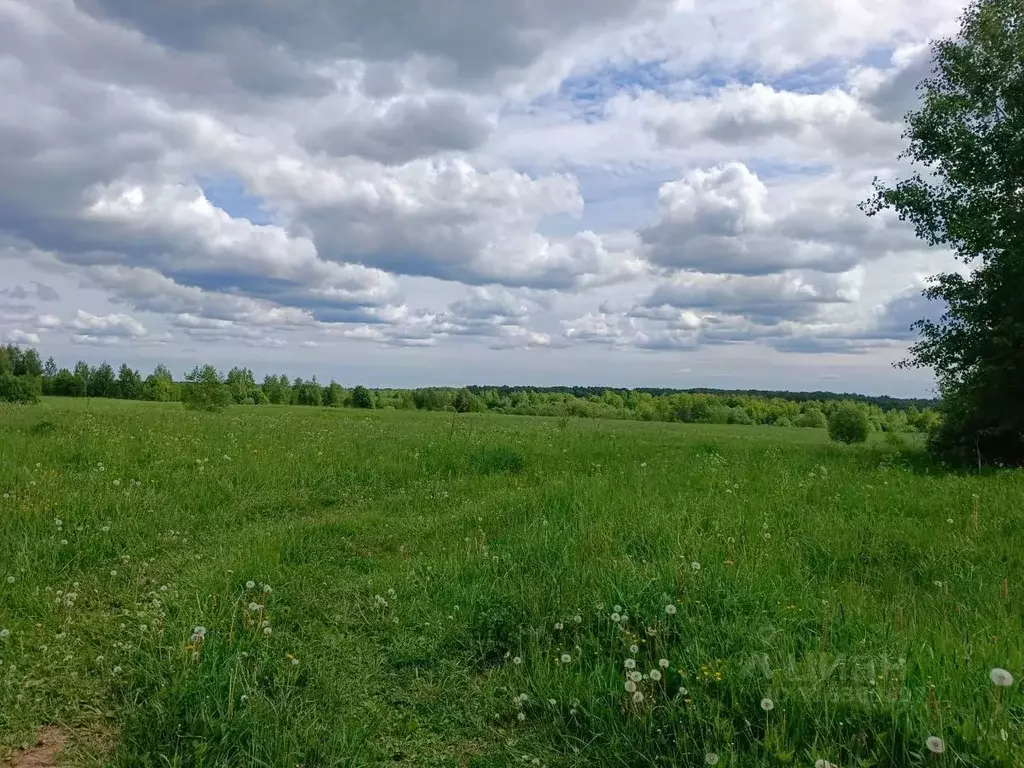 Участок в Новгородская область, Новгородский район, Трубичинское с/пос ... - Фото 2
