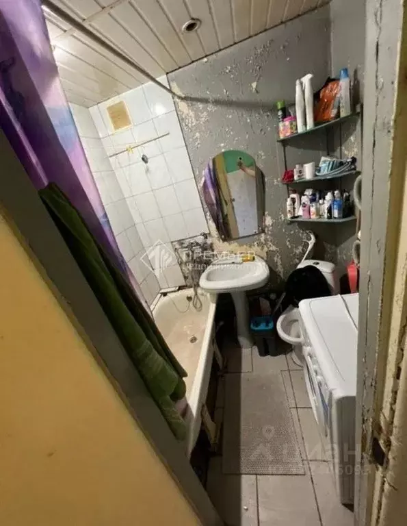 1-к кв. Кировская область, Киров ул. Щорса, 30 (29.3 м) - Фото 1