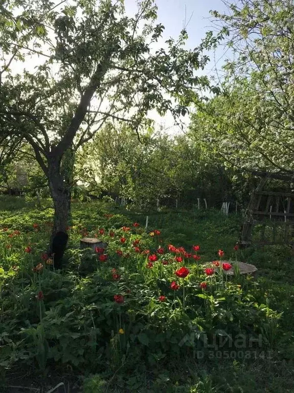 Дом в Белгородская область, Старооскольский городской округ, с. ... - Фото 1