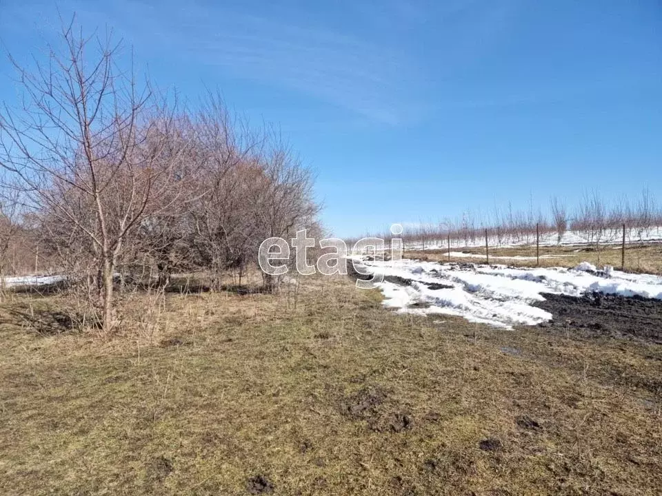 Участок в Адыгея, Майкопский район, Даховская ст-ца ул. Мира (12.3 ... - Фото 1