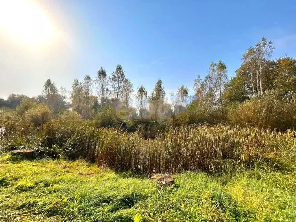 Участок в Смоленская область, Смоленск пос. Одинцово,  (80.0 сот.) - Фото 1