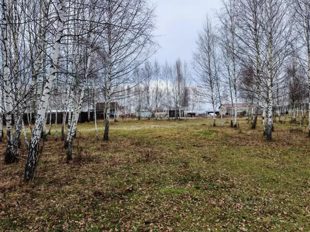 Участок в Московская область, Ступино городской округ, д. Прудно ул. ... - Фото 1