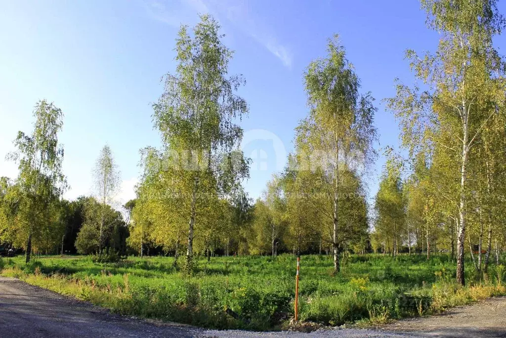Участок в Тульская область, Заокский район, Малаховское с/пос, Нова ... - Фото 1