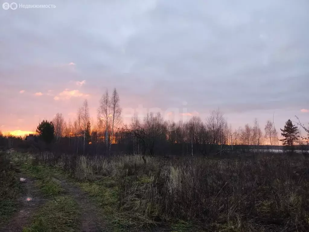 Участок в Нижегородская область, Городецкий муниципальный округ, ... - Фото 2