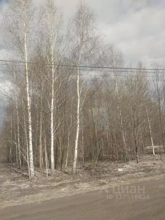 Участок в Московская область, Истра муниципальный округ, с. Онуфриево  ... - Фото 0
