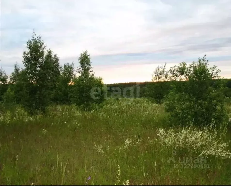 Участок в Калужская область, Калуга Московская ул. (12681.91 сот.) - Фото 1