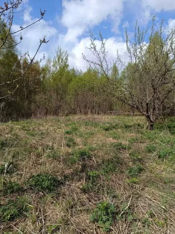 Участок в Тульская область, Ясногорский район, Ревякинское с/пос, № 25 ... - Фото 2