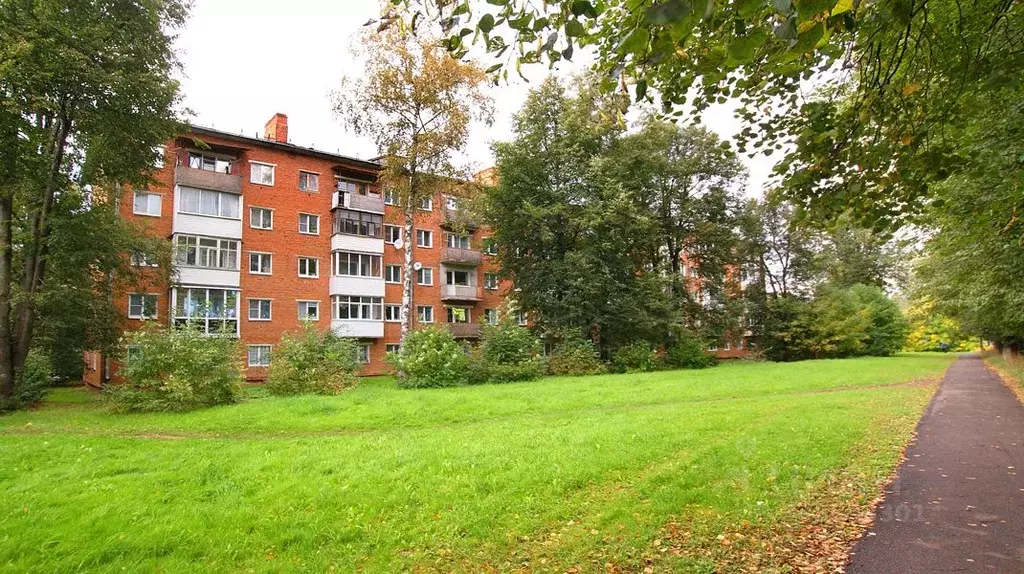 1-к кв. Московская область, Волоколамск Школьный проезд, 7 (29.8 м) - Фото 1
