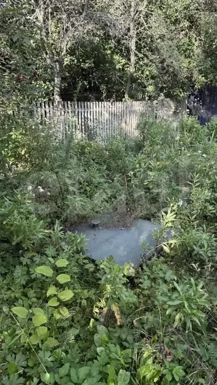 Участок в Московская область, Пушкинский городской округ, ... - Фото 1