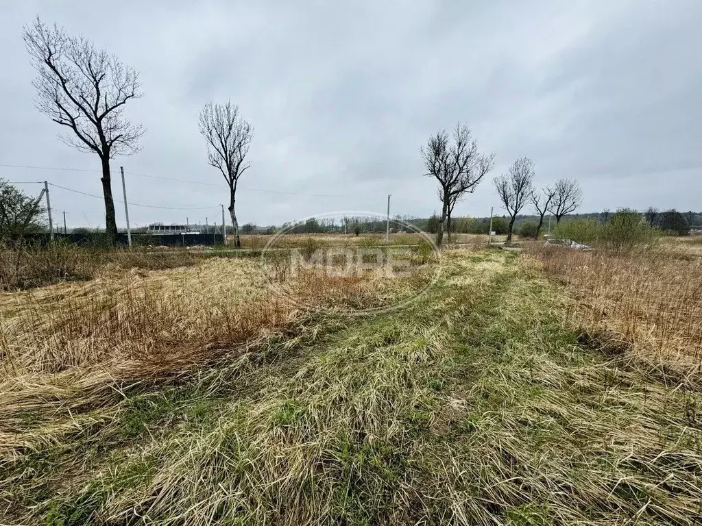 Участок в Калининградская область, Гурьевский муниципальный округ, ... - Фото 1