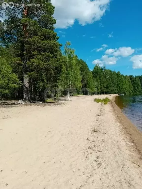Участок в Республика Карелия, Сегежский муниципальный округ, ... - Фото 1