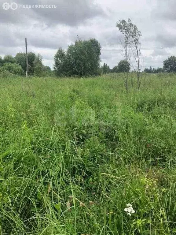 Участок в Московская область, городской округ Коломна, деревня Гришино ... - Фото 1