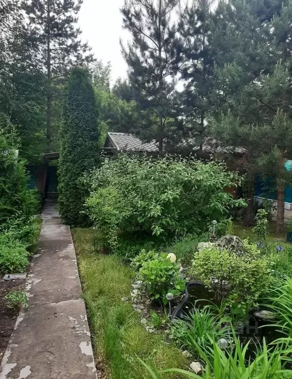 Дом в Омская область, Омск СОСН Березка тер., аллея 22-я (51 м) - Фото 1