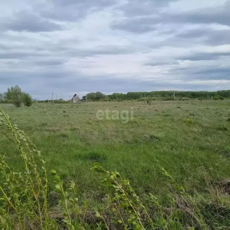 Участок в Башкортостан, Стерлитамакский район, Казадаевский сельсовет, ... - Фото 2