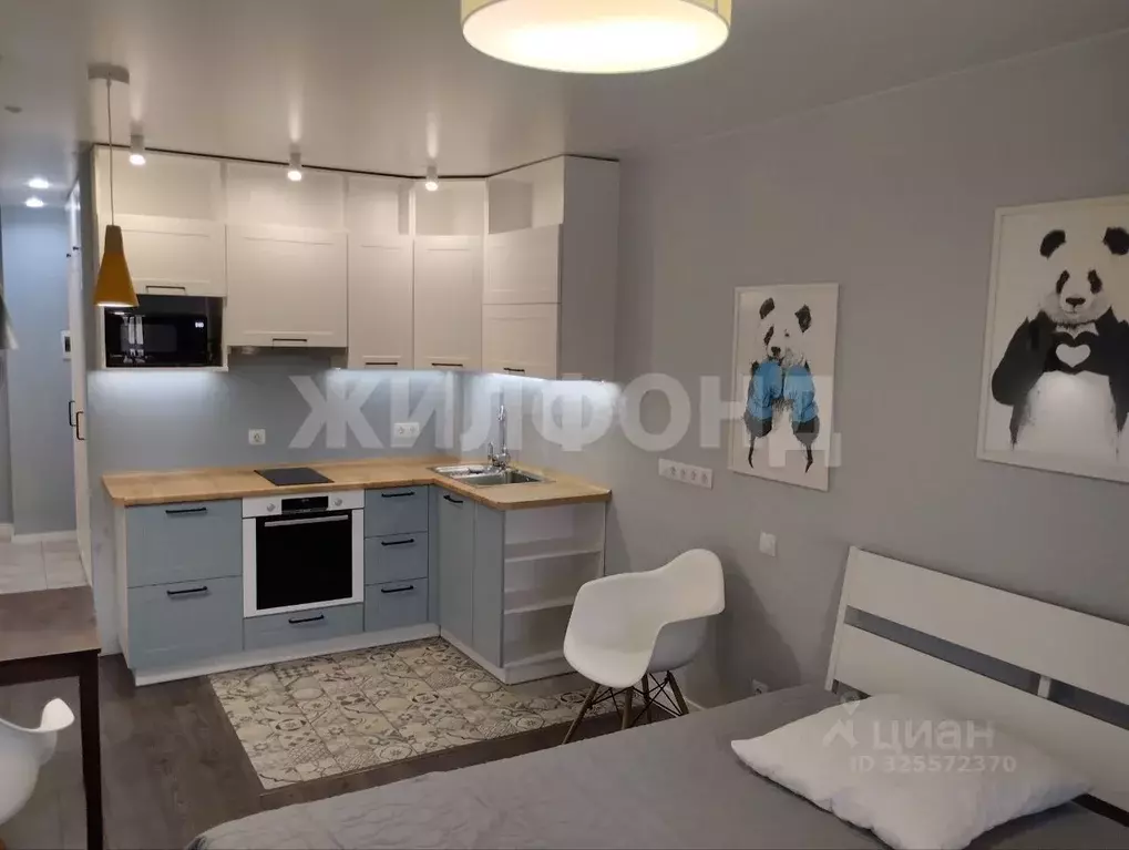 Студия Новосибирская область, Новосибирск 1-я Чулымская ул., 112/3 ... - Фото 2