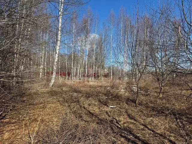 Участок 13 сот. (ИЖС) - Фото 0