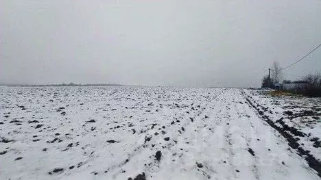 Участок в Московская область, Сергиево-Посадский городской округ, д. ... - Фото 1