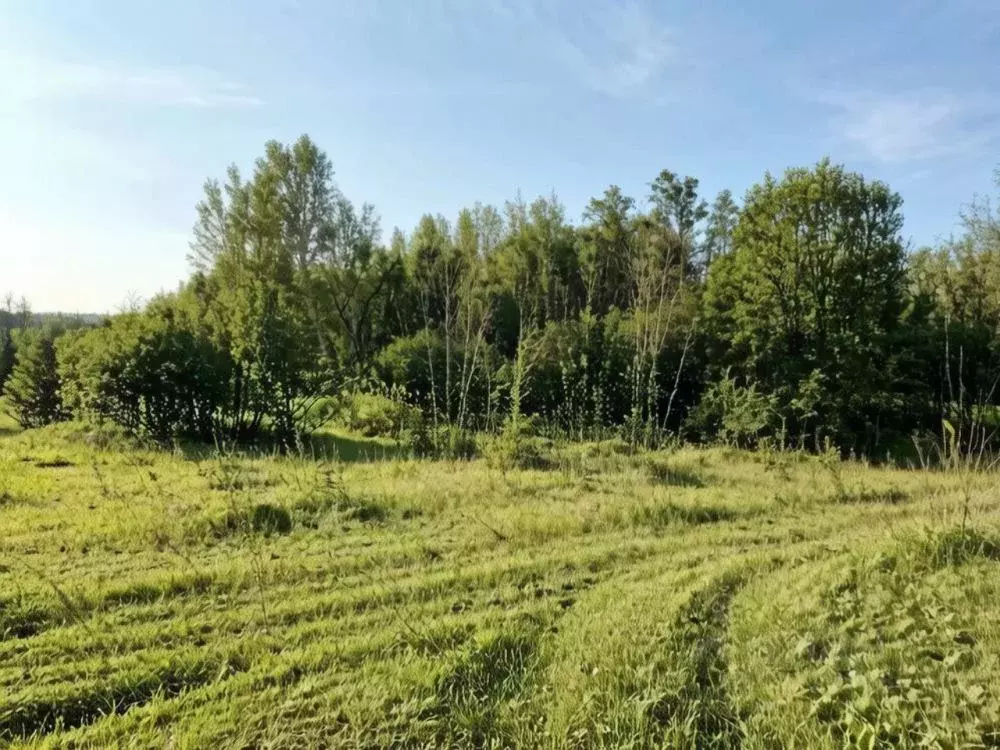 Участок в Иркутская область, Шелехов  (2237.0 сот.) - Фото 1