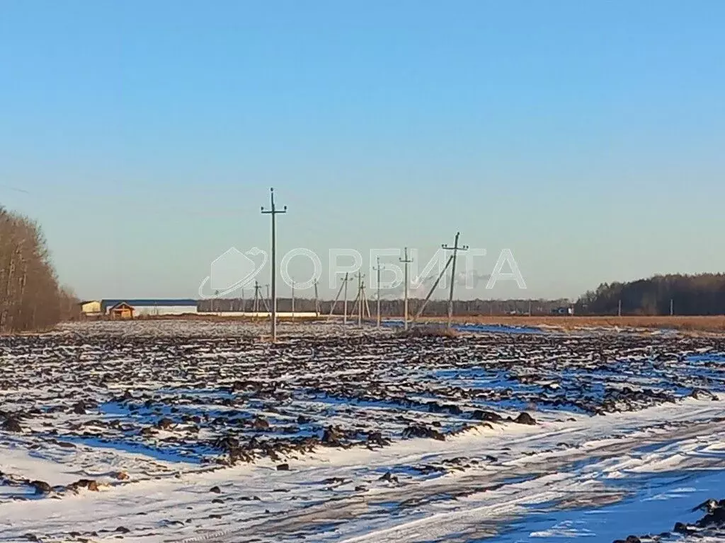 Участок в Тюменская область, Тюменский район, с. Горьковка Сибирская ... - Фото 0