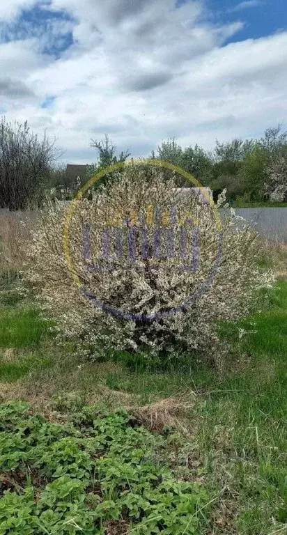 Участок в Челябинская область, Копейск Пластмасс-1 садовые участки, ... - Фото 2