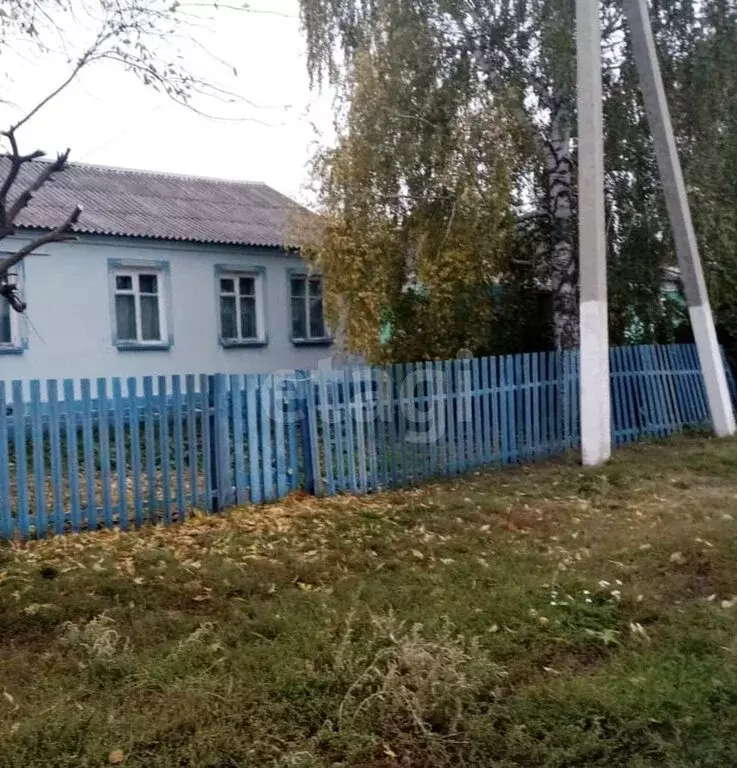 Дом в село Березняговка, улица Ворошилова (62.5 м) - Фото 0