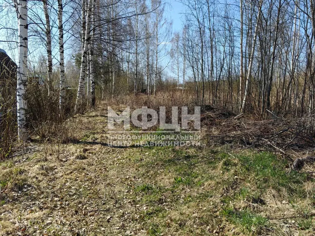 Участок в деревня Верховье, жилой массив Сосновый (15 м) - Фото 0