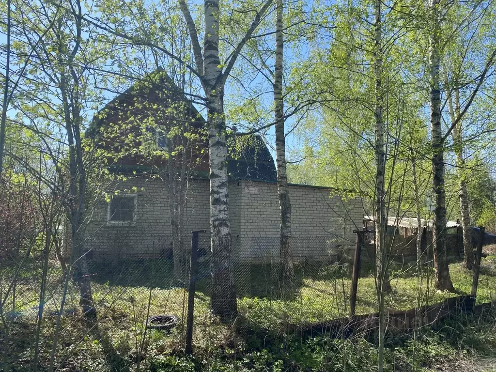 Дом в Новгородская область, Шимский муниципальный район, Подгощское ... - Фото 2