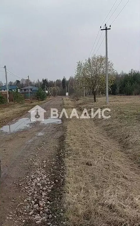 Участок в Московская область, Щелково городской округ, с. Трубино ул. ... - Фото 1