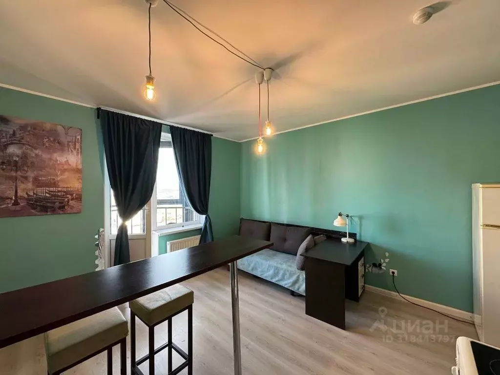 Студия Санкт-Петербург ул. Русановская, 19к3 (27.3 м) - Фото 0