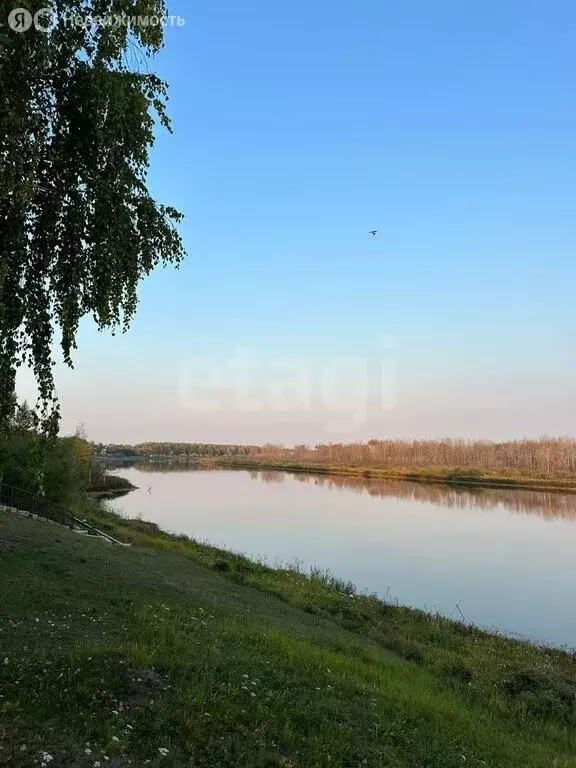 Участок в Тюменский район, деревня Решетникова, Николаевская улица ... - Фото 1