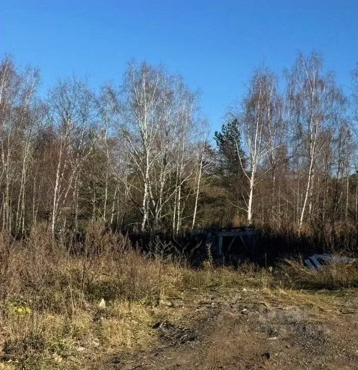 Участок в Московская область, Пушкинский городской округ, с. Левково ... - Фото 0