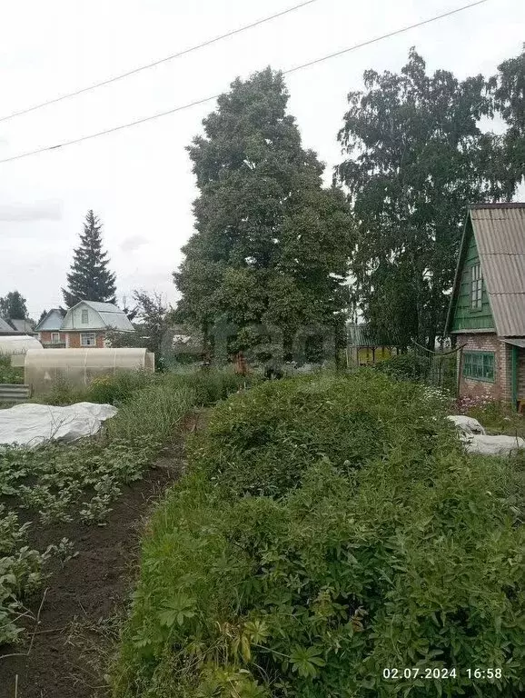 Дом в Искитимский район, Чернореченский сельсовет, садовое ... - Фото 1