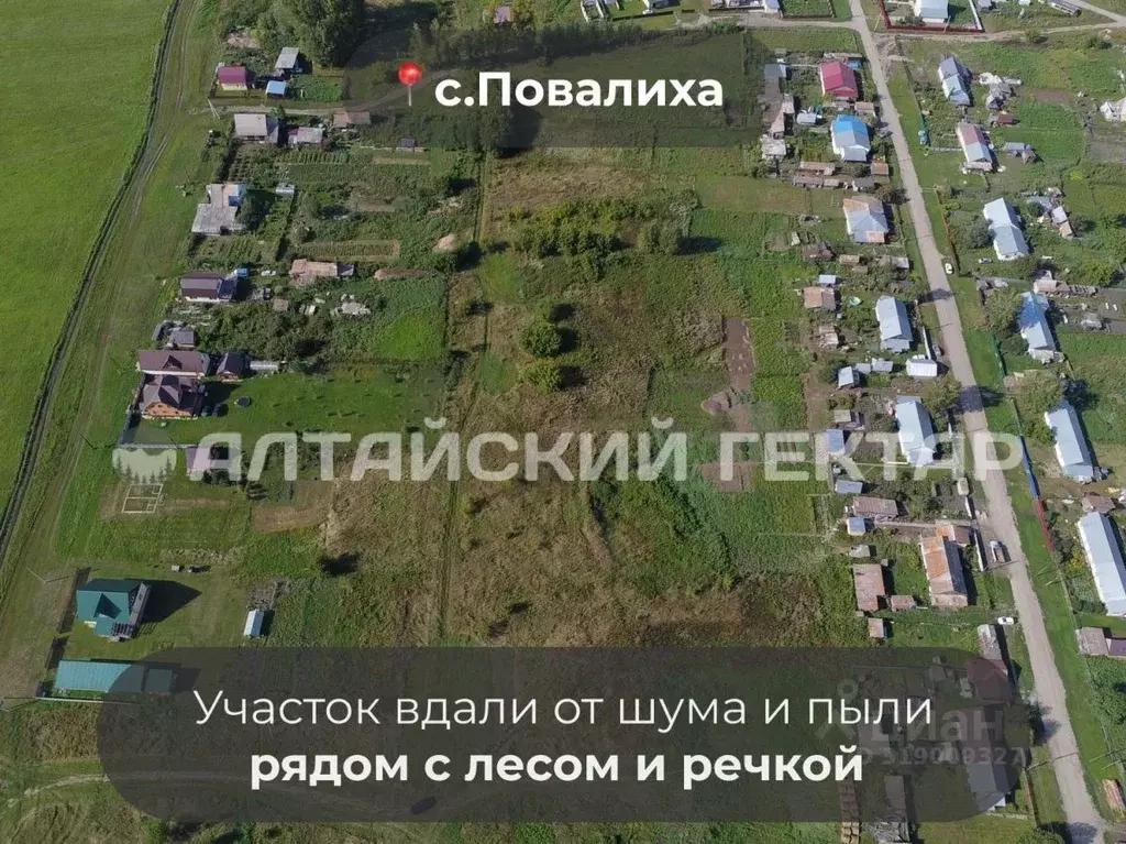 Участок в Алтайский край, Первомайский район, с. Повалиха Полевая ул. ... - Фото 1
