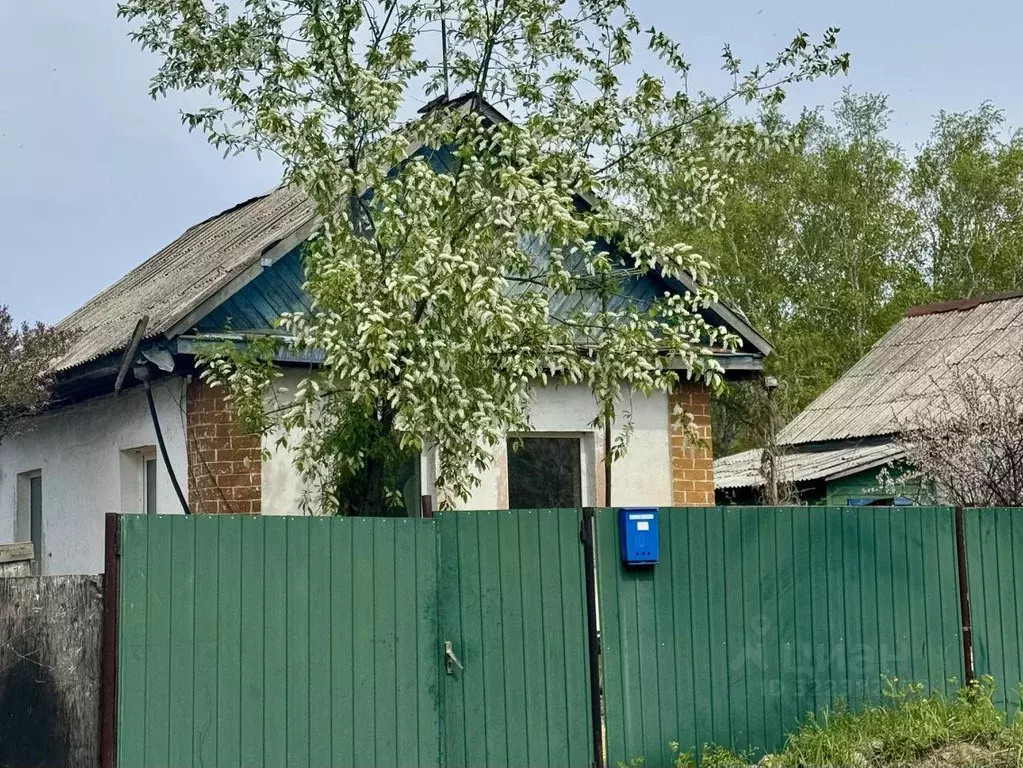 Дом в Амурская область, Белогорск ул. Транспортная, 10 (50 м) - Фото 1