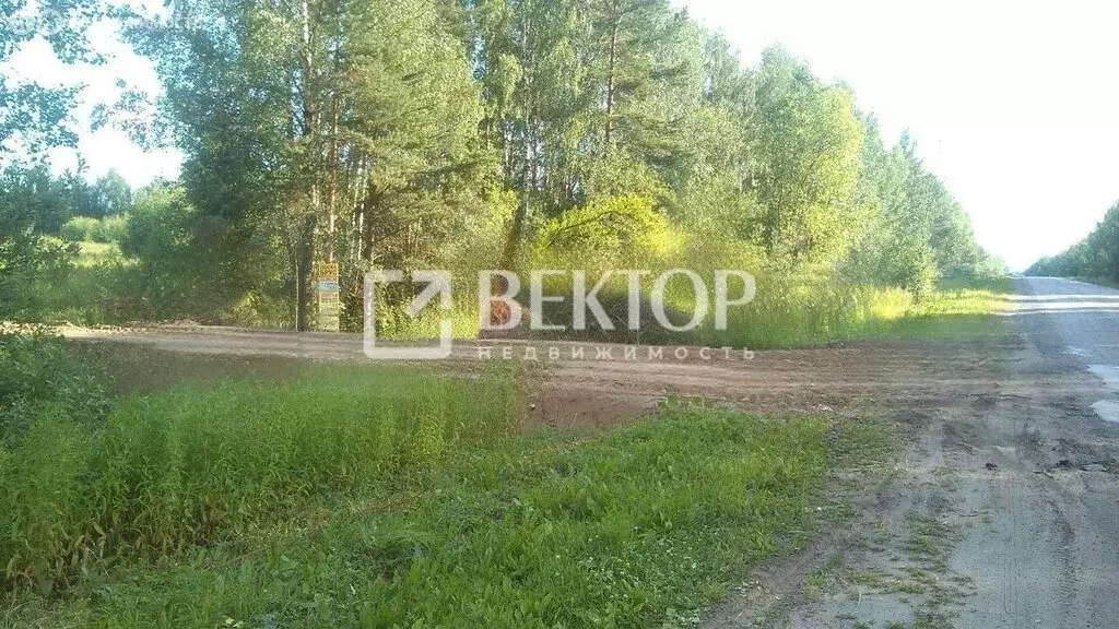 Участок в деревня Кузьмищи, Солнечная улица, 1 (9 м) - Фото 1