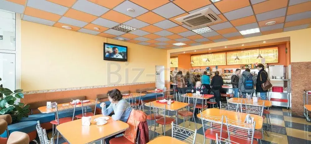 Офис в Санкт-Петербург ул. Седова, 13 (18 м) - Фото 2