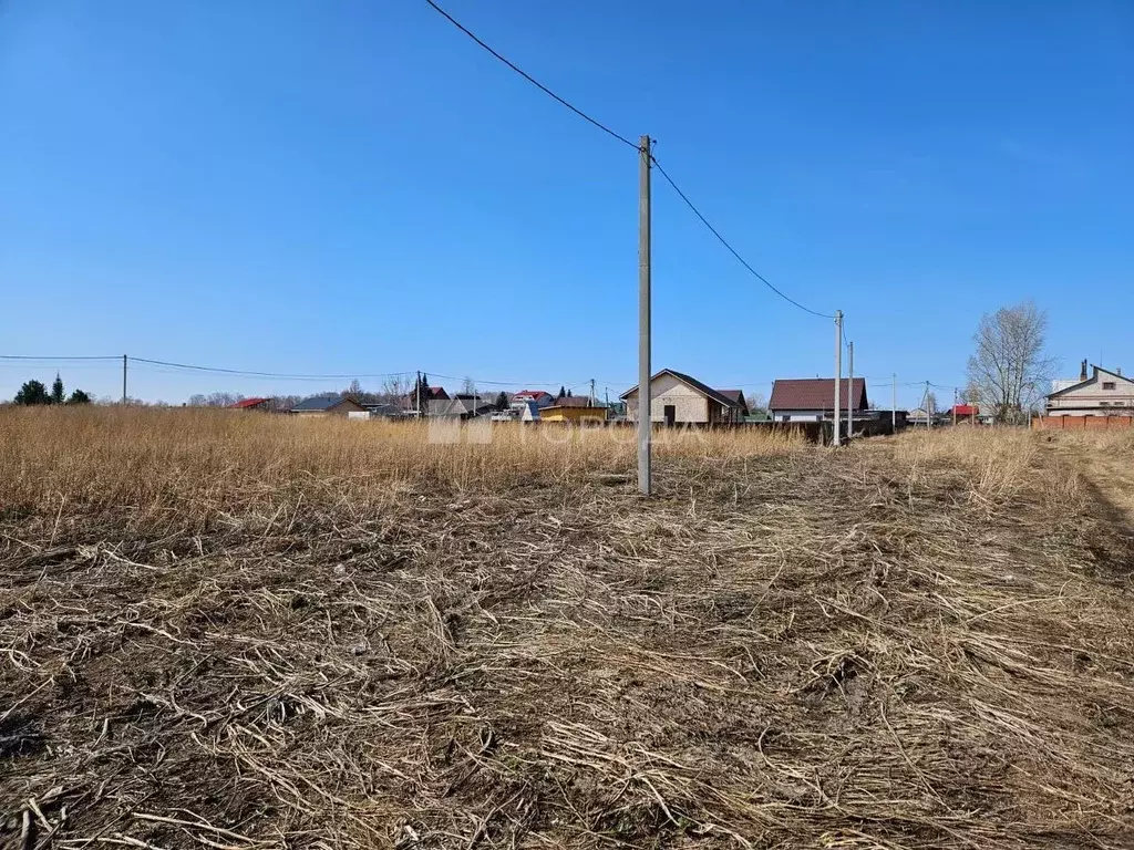 Участок в Новосибирская область, Искитимский район, Совхозный ... - Фото 0