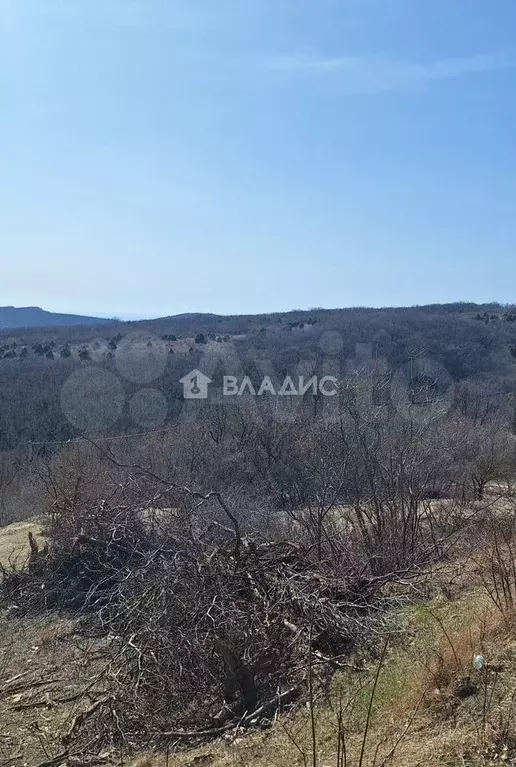 Участок 56 сот. (СНТ, ДНП) - Фото 1