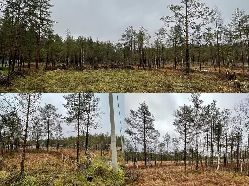 Участок в Ленинградская область, Всеволожское городское поселение ул. ... - Фото 2