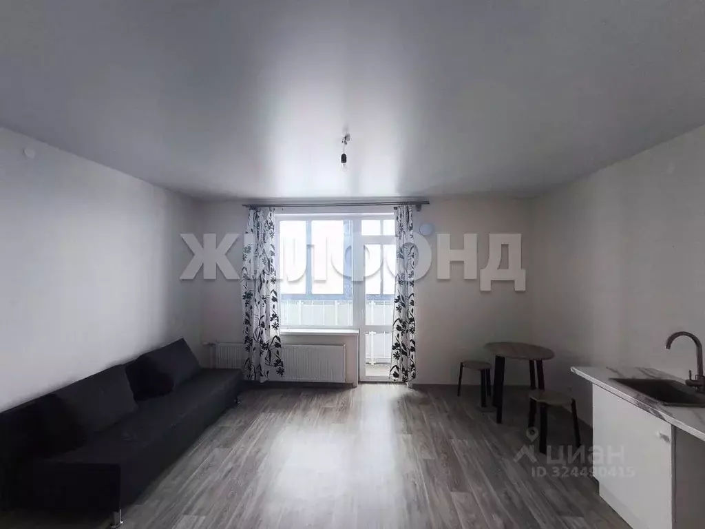 1-к кв. Новосибирская область, Новосибирск ул. Бородина, 54 (30.5 м) - Фото 2