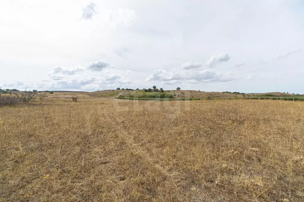 Участок в Крым, Бахчисарайский район, Почтовское с/пос, с. Растущее  ... - Фото 1