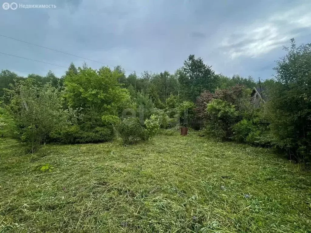 Участок в Киров, СДТ имени 40 лет Октября (4.5 м) - Фото 1