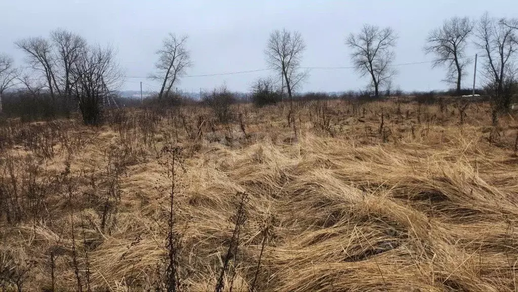 Участок в Белгородская область, Белгородский район, Дубовское с/пос, ... - Фото 1