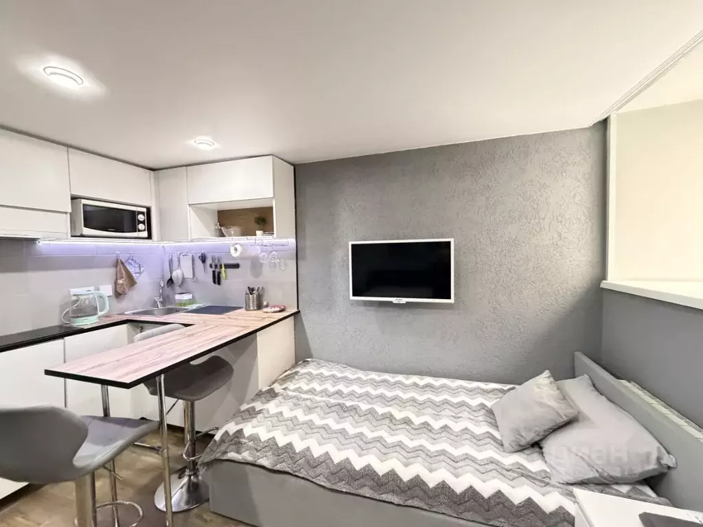 Студия Санкт-Петербург 4-я Советская ул., 8 (20.0 м) - Фото 2