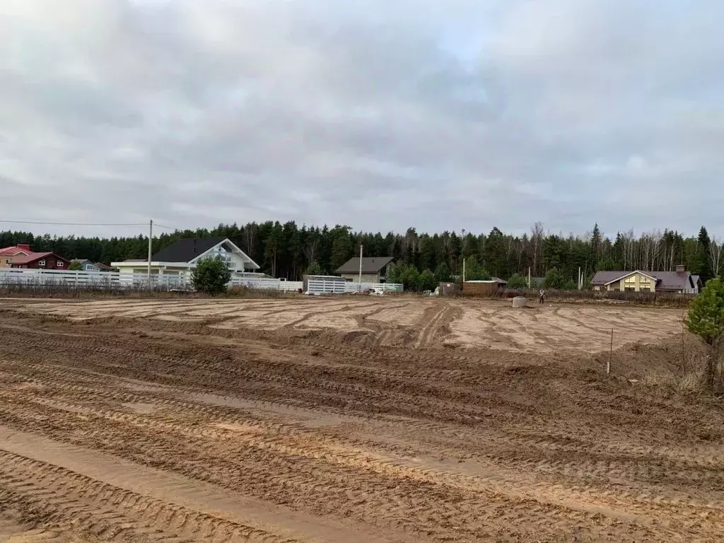 Участок в Тверская область, Калининский муниципальный округ, д. Савино ... - Фото 1