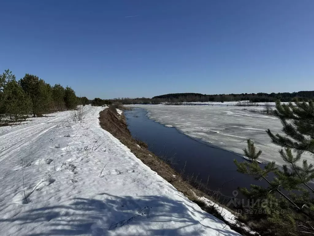 Участок в Тверская область, Старицкий муниципальный округ, д. Бутово  ... - Фото 2