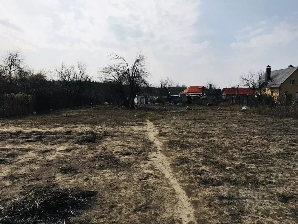 Староживотинное. Староживотинное ул. Староживотинное воронеж. Погода староживотинное воронежской. Староживотинное воронежская область фото.