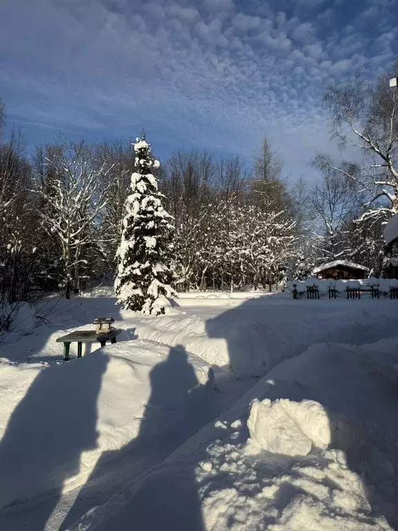 Участок в Московская область, Дмитровский муниципальный округ, д. ... - Фото 1